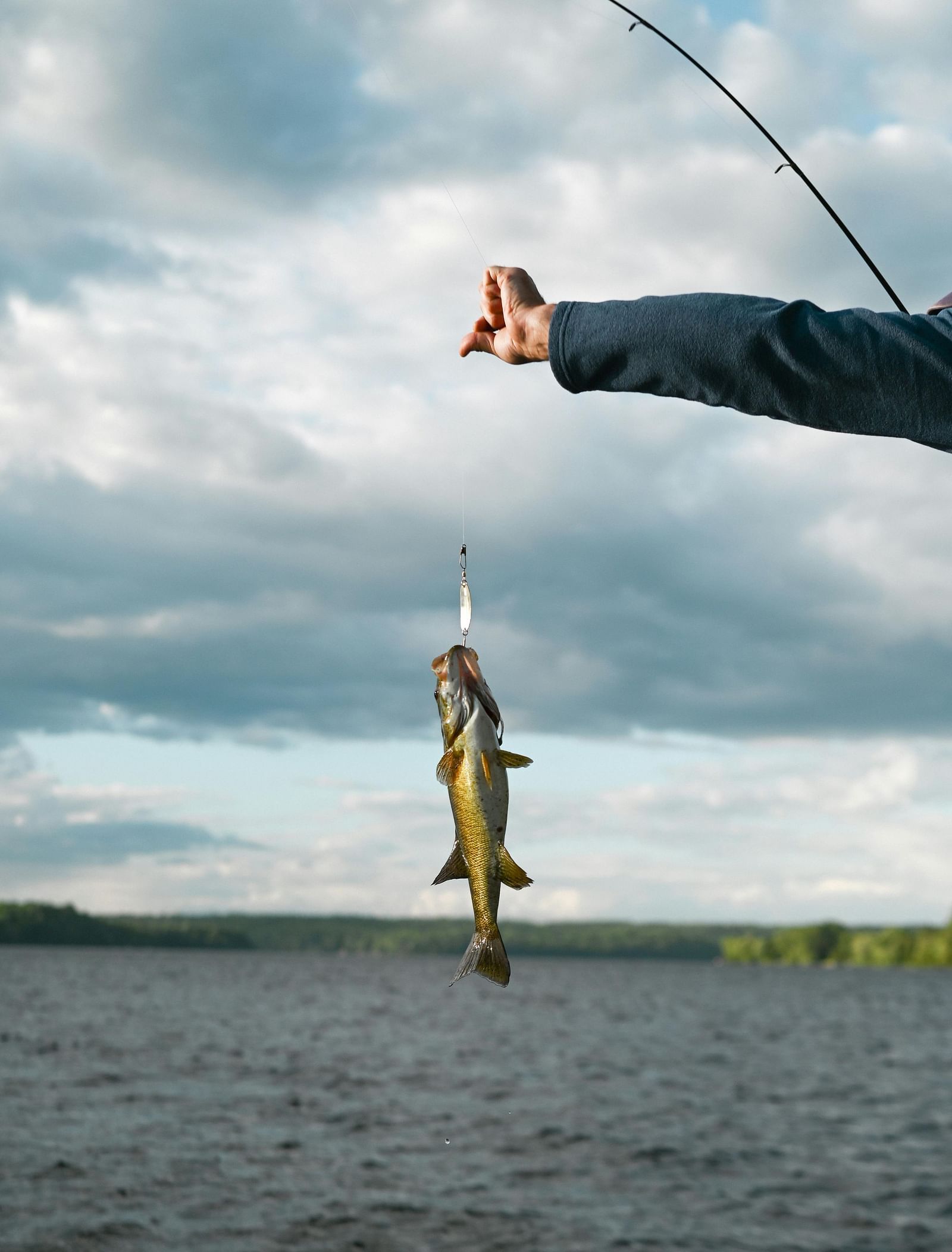 A person holding up a fish attached to the fishing rod with a lake in the backdrop.