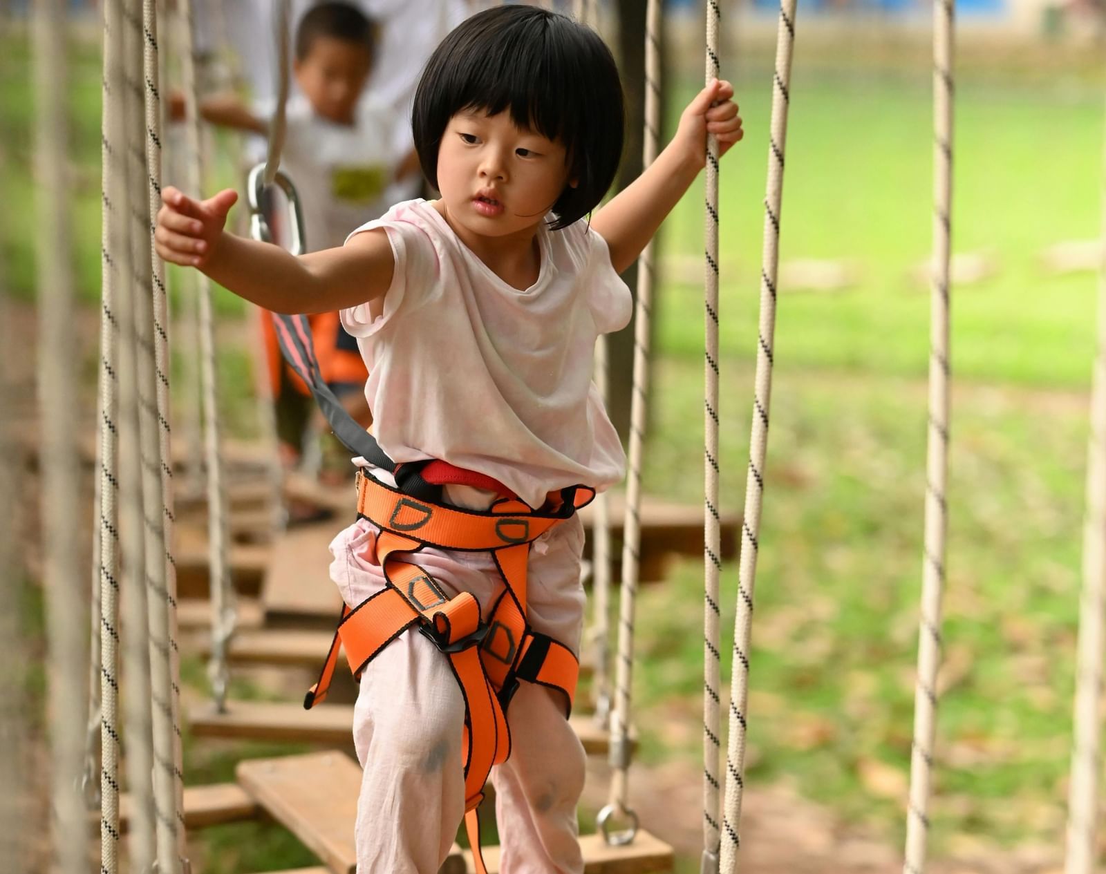 pexels-liu-jian-qiang-370085495-14477765