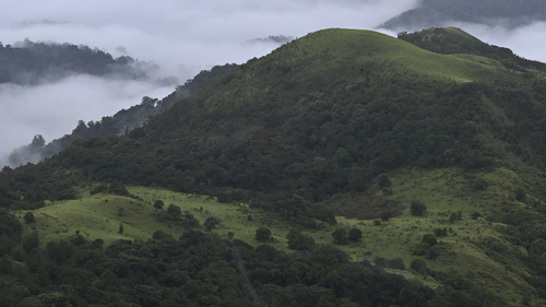 A lush green landscape in the hills surrounded by thick clouds and mist.