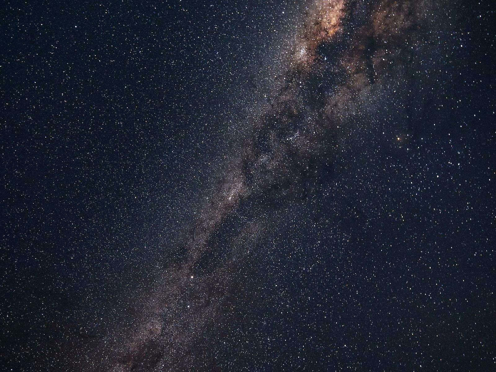 pexels-philippedonn-1257860