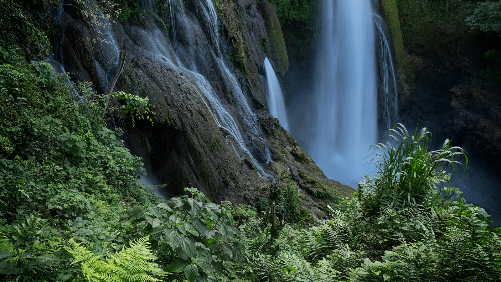 A distant view of a waterfall reveals the mesmerising sight of water flowing gracefully amidst vibrant green canopy of trees