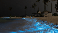 bioluminescence lighting up the waves at nightime - Havelock Island at night