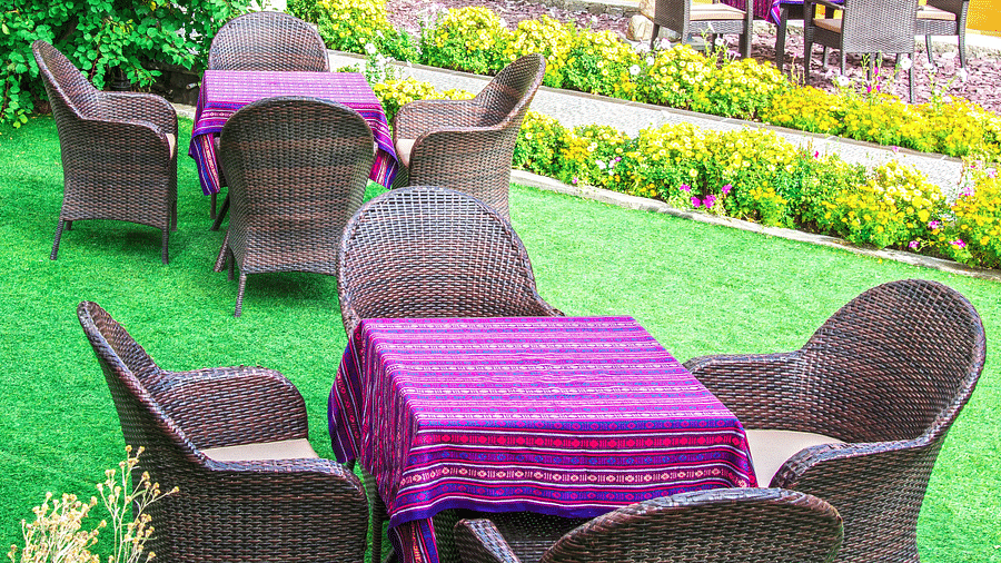 A seating area surrounded by greenery and a tree in the background.