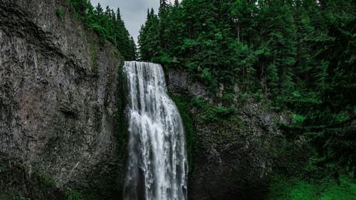 iamge of a waterfall flowing amidst the lush green forest