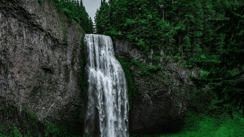 iamge of a waterfall flowing amidst the lush green forest