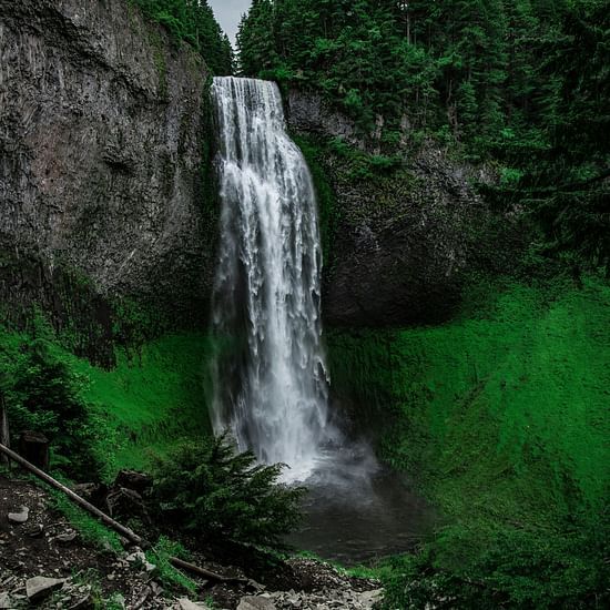iamge of a waterfall flowing amidst the lush green forest
