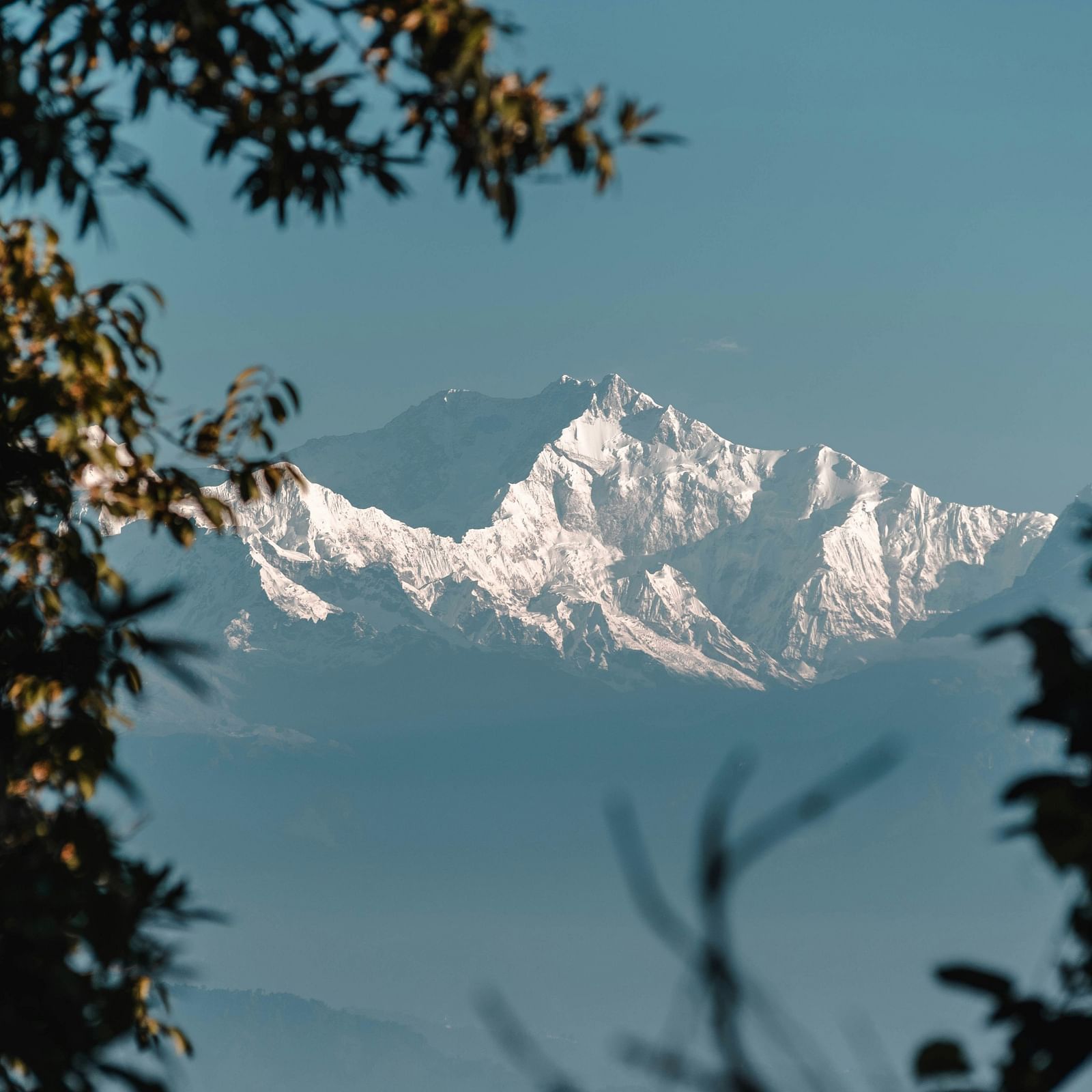 hmi - Explore mountaineering history and take courses inspired by legendary climbers at this renowned institute.