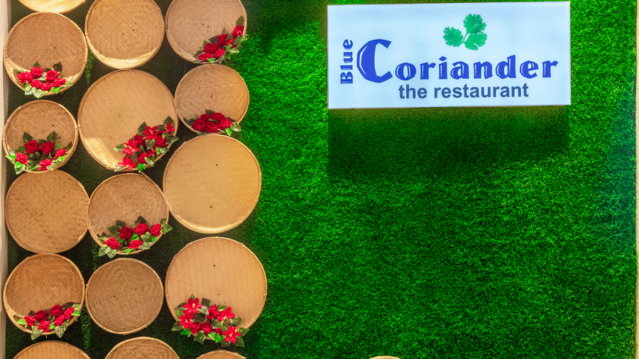 Decorative restaurant wall at Lords Inn Sangam, Bhopal featuring the Coriander signage on a green backdrop with circular plate-style wall decor.