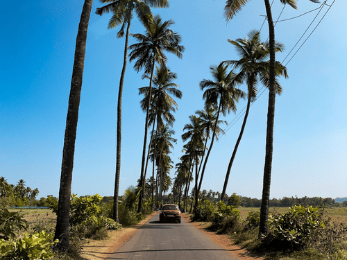 A car driving on an empty stretch of road lined with palm trees on a bright sunny day in Goa.