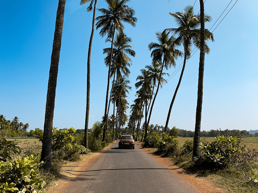 A car driving on an empty stretch of road lined with palm trees on a bright sunny day in Goa.