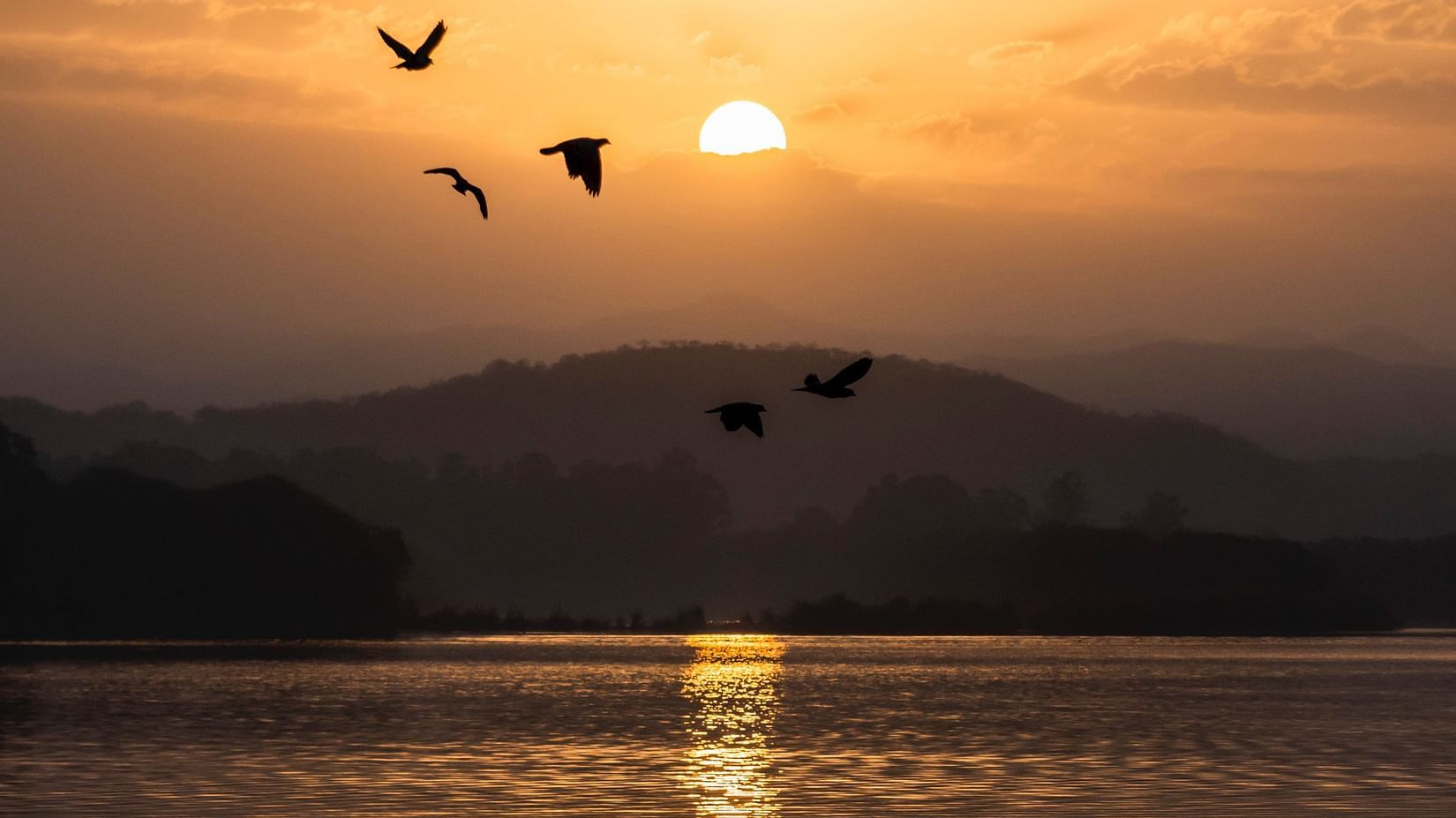 rohan-gupta-Ch-66-s3ZJ8-unsplash