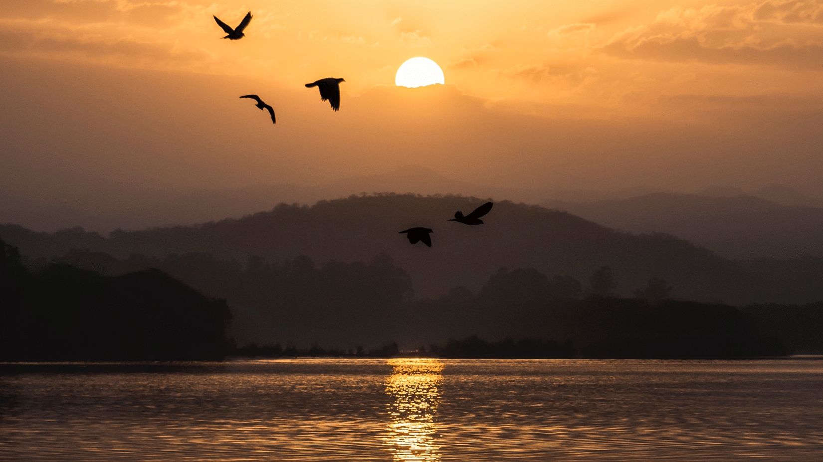 Sunset over water with birds flying across the sky.