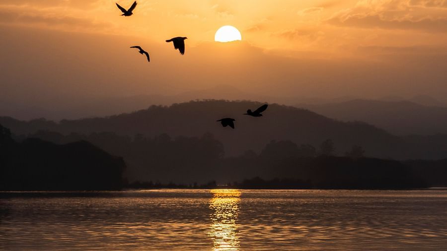 rohan-gupta-Ch-66-s3ZJ8-unsplash