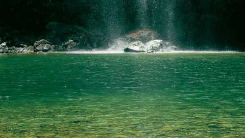 Serene waterfall cascading into a clear turquoise pool in a lush, green forest setting.