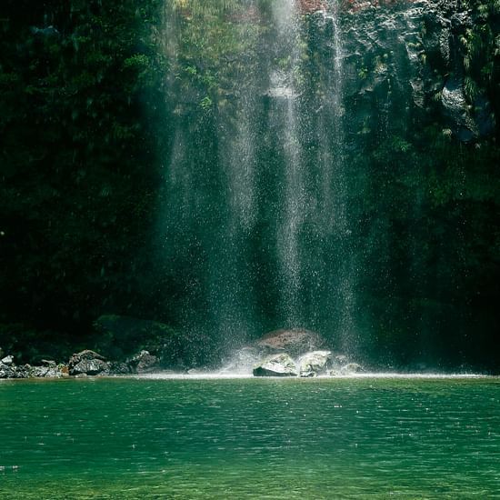 Serene waterfall cascading into a clear turquoise pool in a lush, green forest setting.