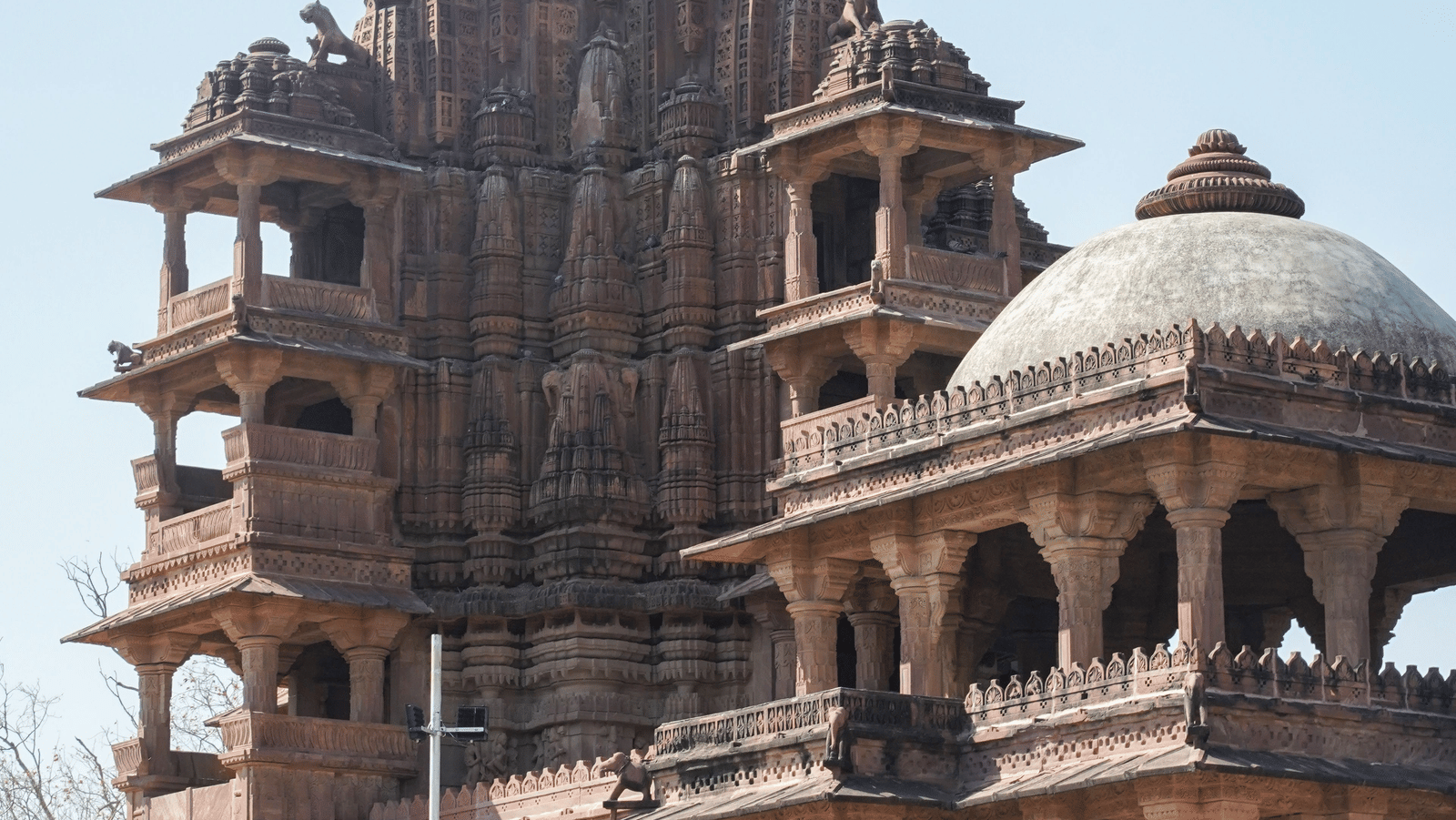 pexels-himanshu817-16910733