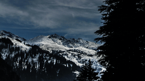 Snow - capped mountains with pine tree close by view