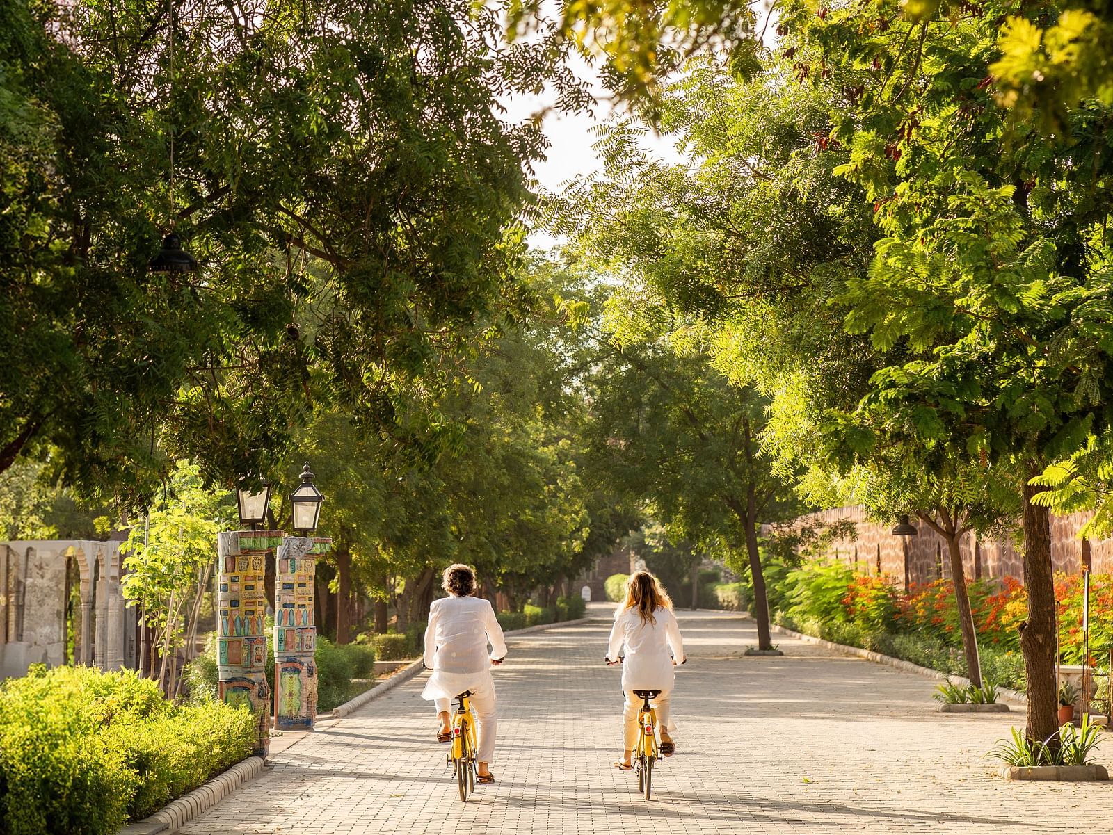 Two people cycling on an empty road with trees on the side at Surpura Bagh.