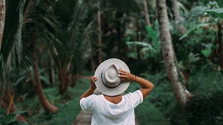 A person wearing a hat walks down a path surrounded by tall palm trees.