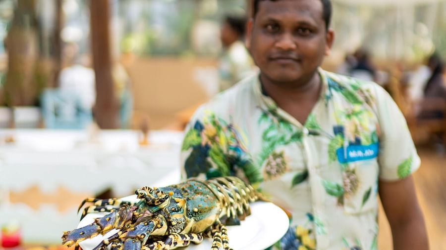 MOR BBC food3 lobster