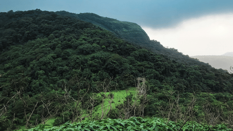 Scenic view of dense green mountain forest and valley landscape during monsoon with cloudy skies.