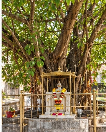 Gurusthan shrine beneath the neem tree