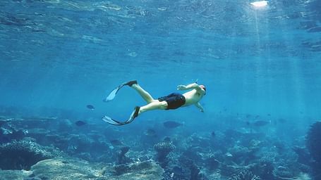 A snorkeler gliding through crystal-clear water above a reef