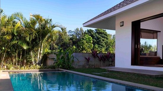 view of our pool in Chikmagalur 098