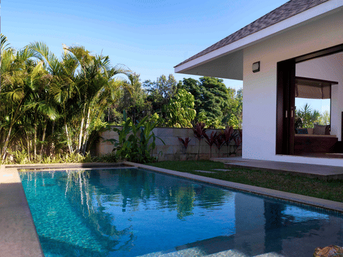 view of our pool in Chikmagalur 098
