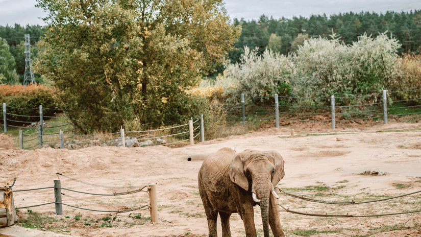 pexels-egorkomarov-13912081