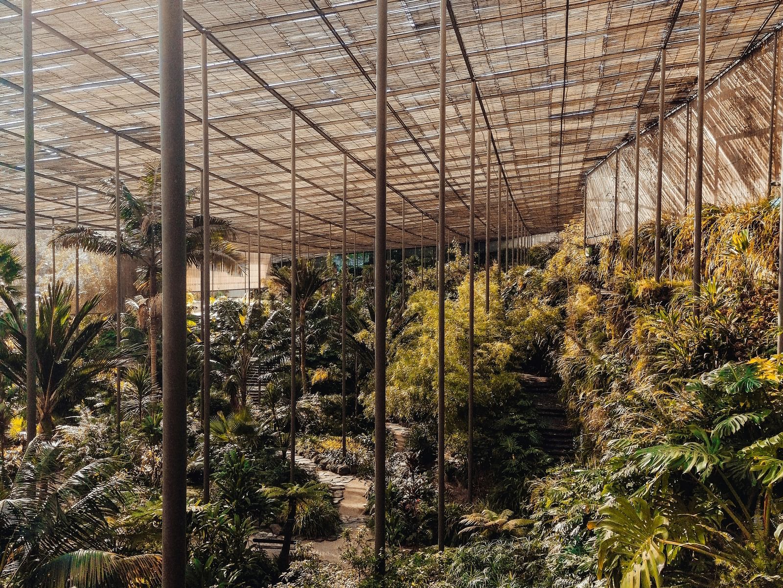 Greenhouse interior with plants.
