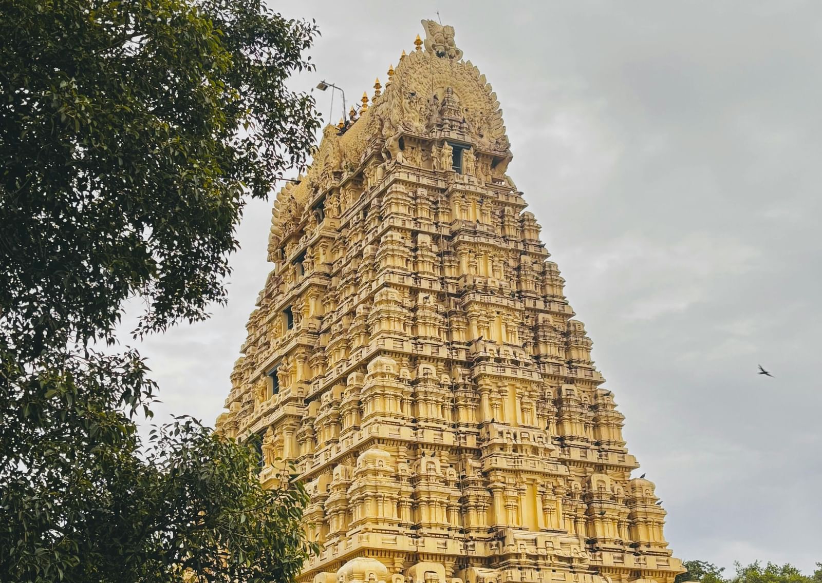 Tall intricately carved temple tower surrounded by trees, showcasing traditional South Indian architectural style.