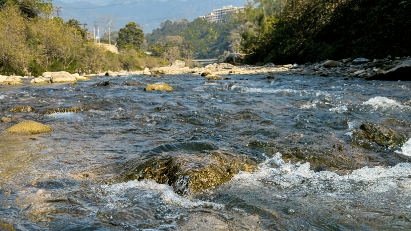 Shallow river flowing over rocks with small rapids surrounded by greenery and trees under clear blue sky in mountains landscape