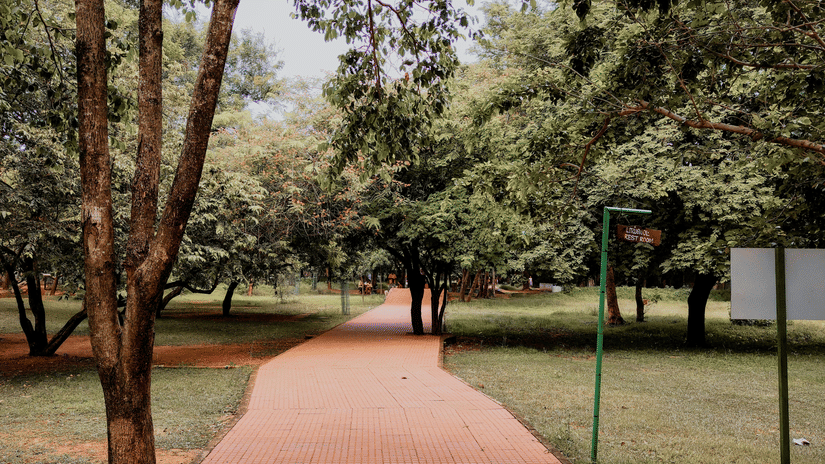 Paved walking pathway inside a landscaped park lined with tall trees, open lawns and signboards