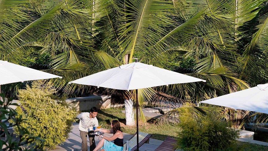 lounge chairs beside our pool 349082