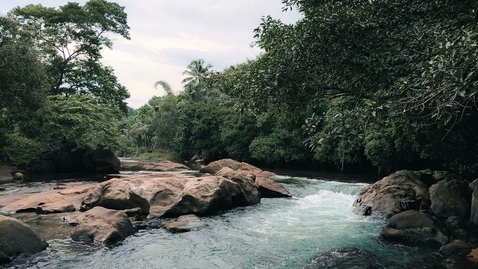 Serene river flowing through a forested landscape with smooth rocks.