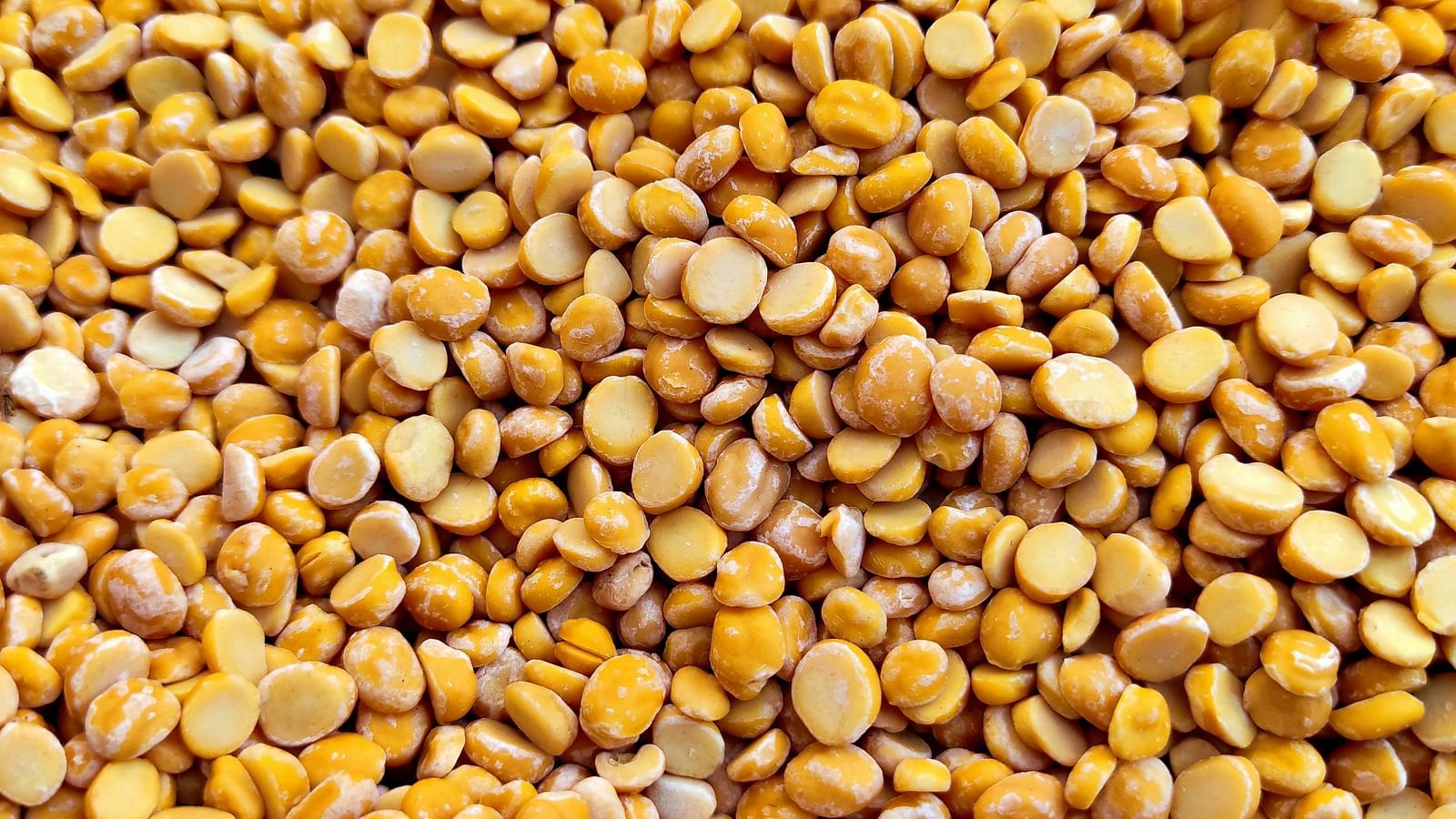 An overview of lentils as seen from above, that is a staple food for Rajasthan