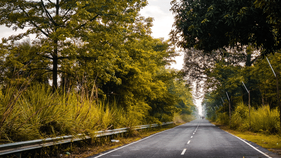 Highway stretching into the distance, lined with dense green trees on both sides.