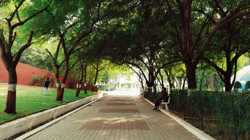 Tree-lined walking path with shaded greenery and seating in a landscaped park.