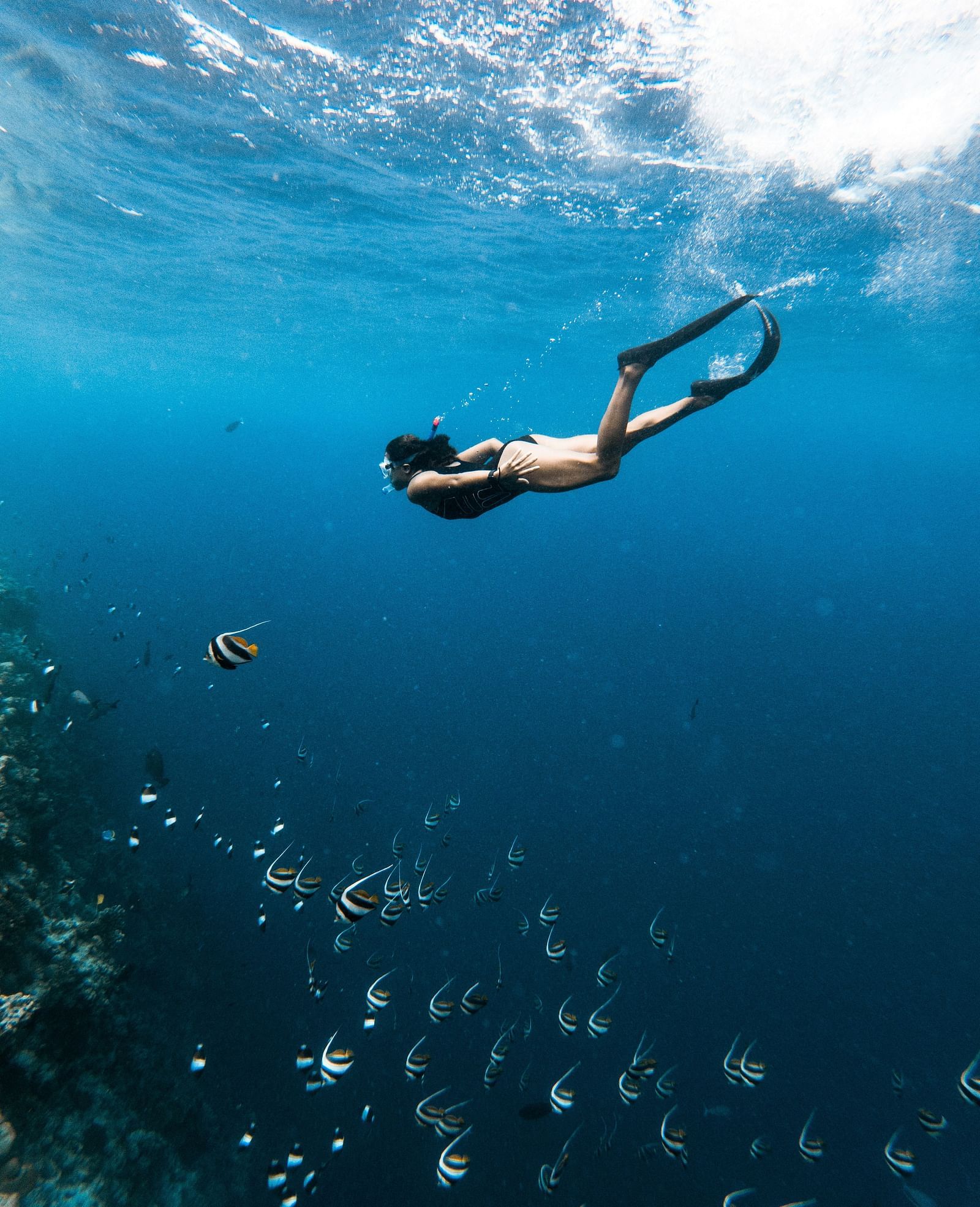 zunnoon-ahmed-np5FePVgH7Q-unsplash