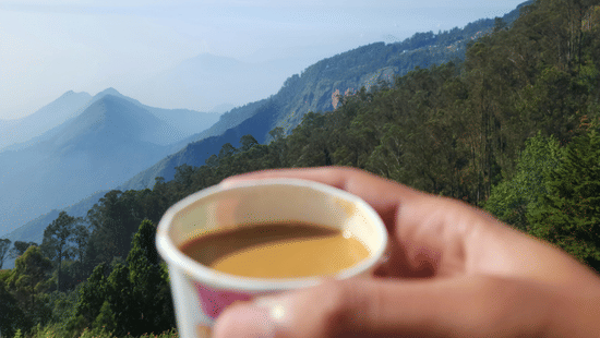 A hand holding a cup of hot beverage overlooking the misty hills and valleys of Kodaikanal under a clear sky.
