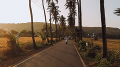 A man riding a scooty along Maddani Road, lined with coconut trees and a beautiful sunset.