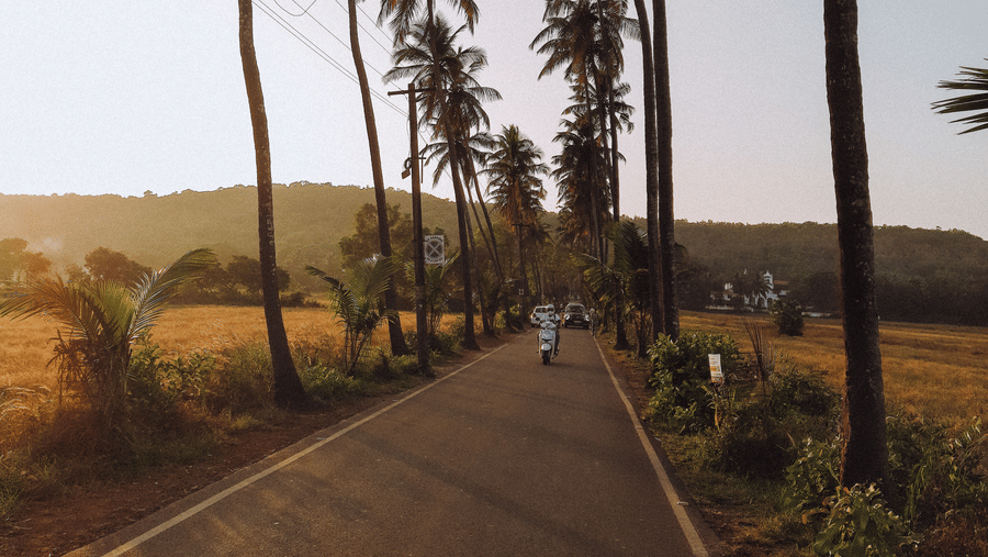 A man riding a scooty along Maddani Road, lined with coconut trees and a beautiful sunset.