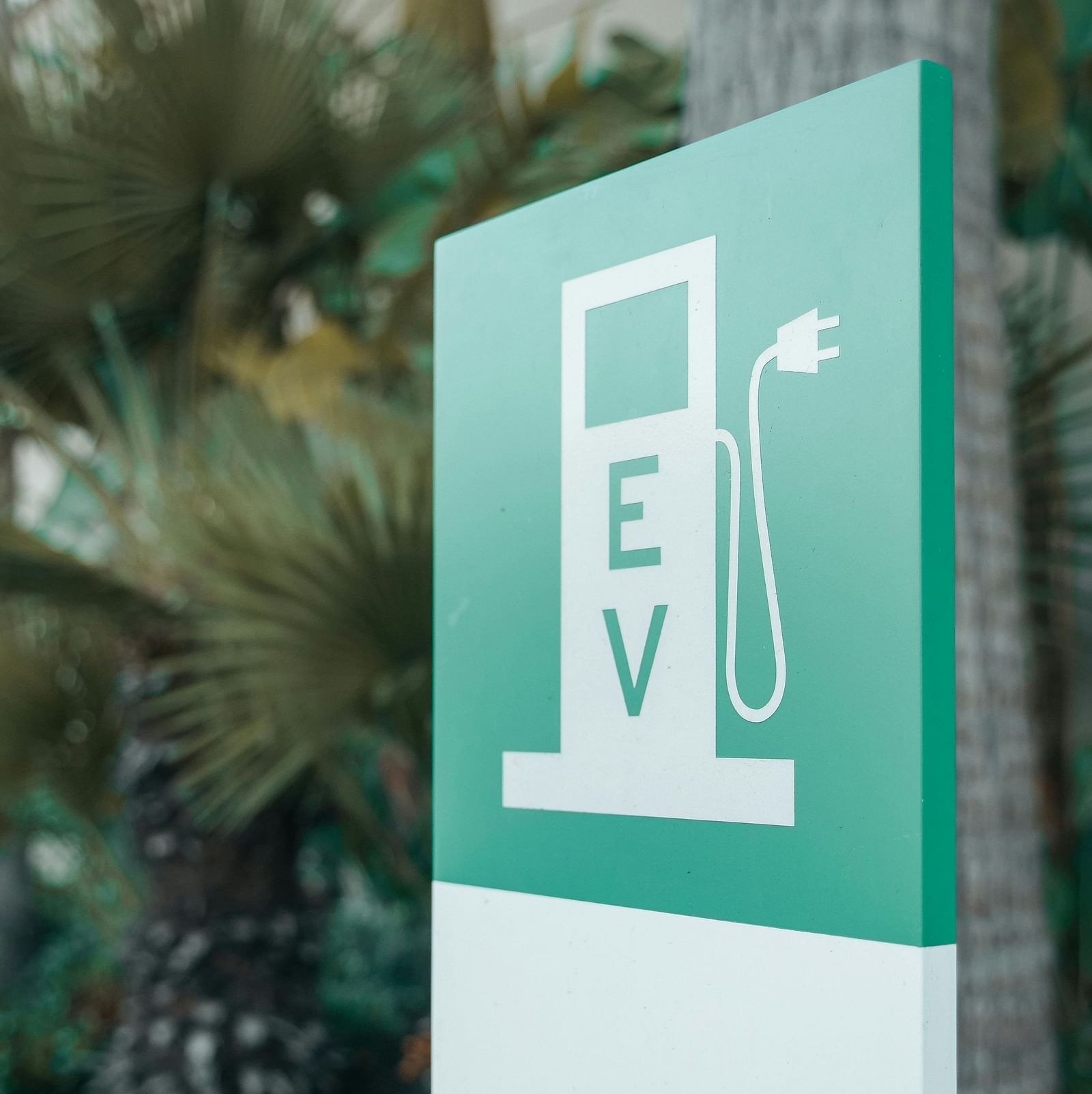 Signboard indicating an electric vehicle EV charging station with a plug icon and the letters EV on a green background placed outdoors near plants.