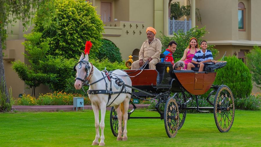 Victoria Carriage 2