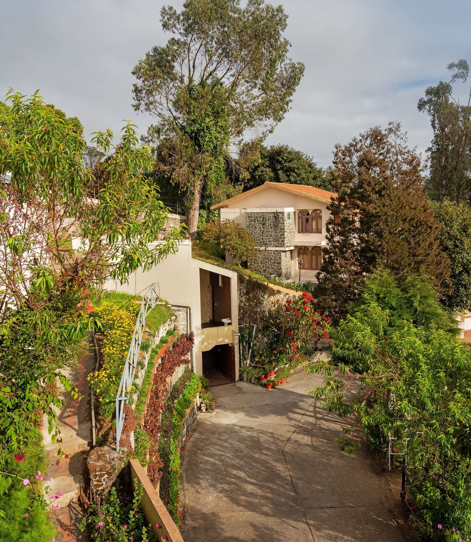 An outside view of a restaurat set amidst the trees | Mango Hill, Kodaikanal