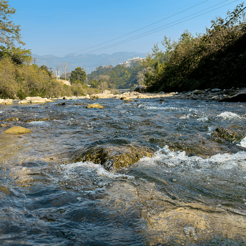 A view from the rocks inside a stream at Sahastradhara, one of the premier Dehradun tourist attractions, with mountains and trees in the distance.