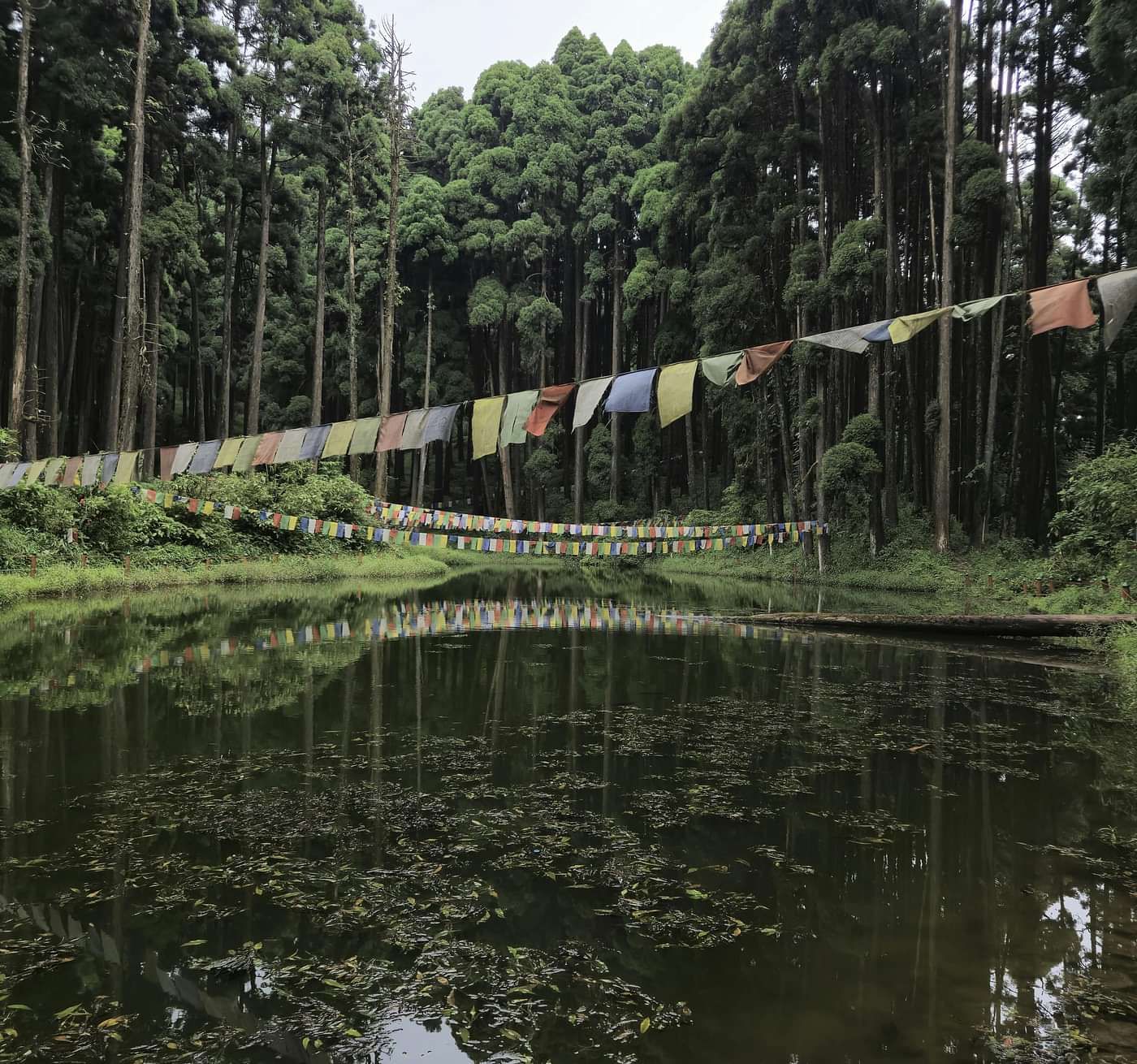 A still pond reflects tall trees and colourful prayer flags strung across its banks.