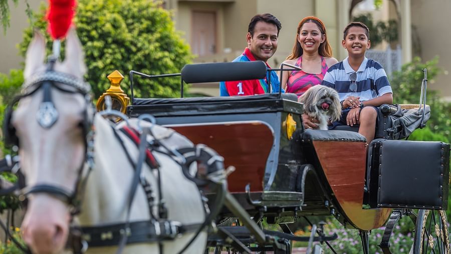 Victoria Carriage