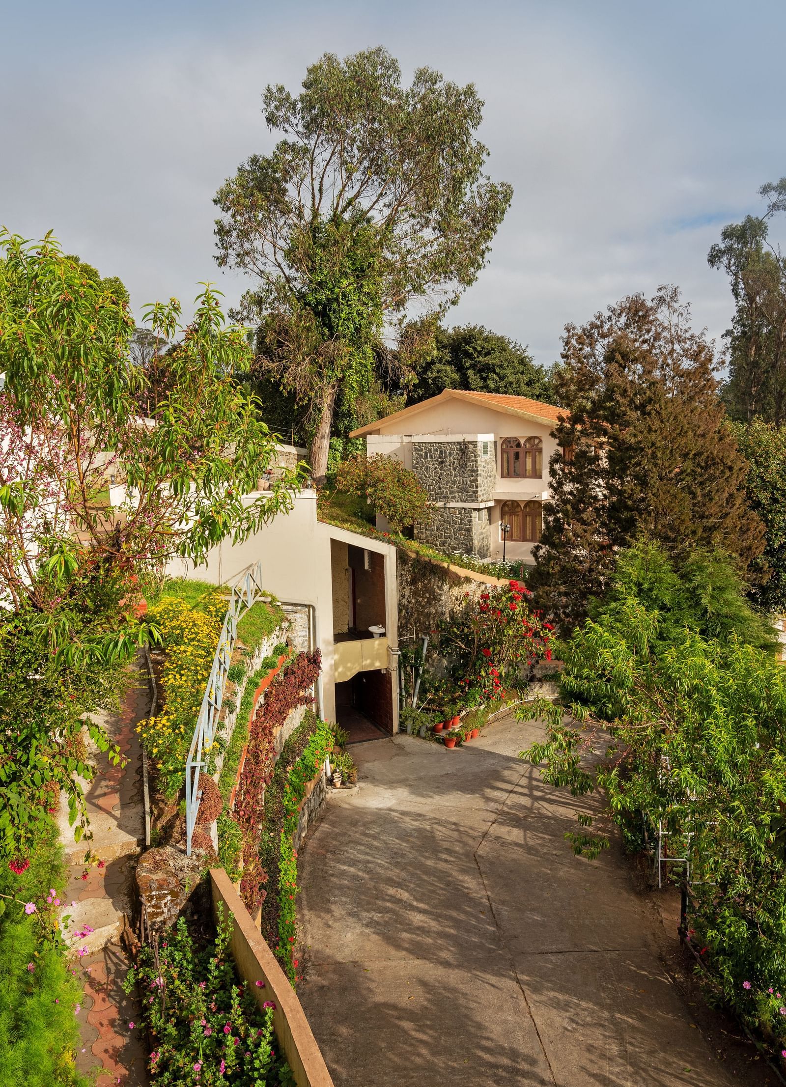 An outside view of a restaurat set amidst the trees | Mango Hill, Kodaikanal